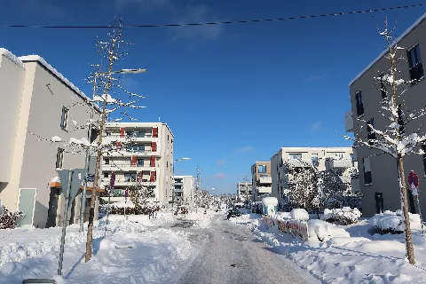 Margarethe Selenka Straße Aus Richtung Der Hochäckerstraße 2023 12 03