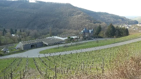 Marienlay 1