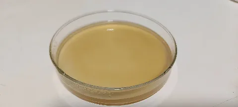 Mea Agar Stamets