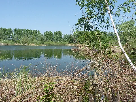 Mechtersheimer Tongruben 2018