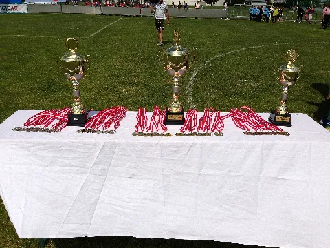 Medallas Y Copas