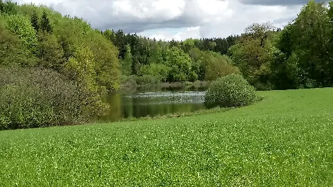 Mitterlache