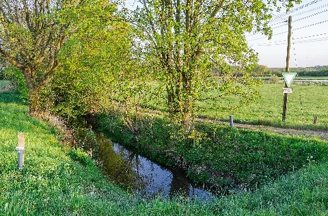 Moers, Schwafheimer Bruch, 2020 04 Cn 02