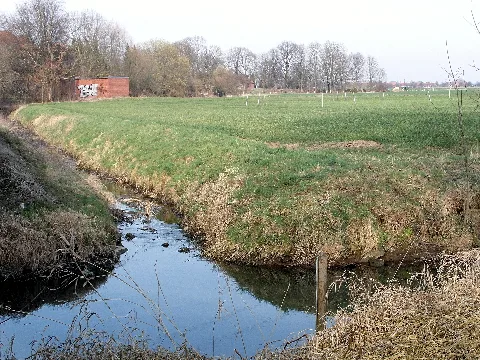 Moeseke Muendung