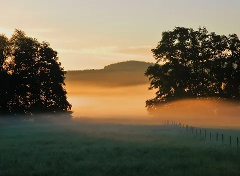 Morgennebel Im Habighorster Wiesental Bünde Kreis Herford