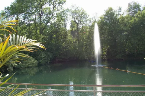 Mühleggweiher Panoramio