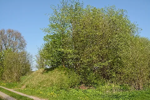 Mühlenbarbek, Reste Der Bahnstrecke Wrist–Itzehoe Nik 5056