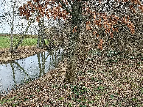 Am Mühlgraben