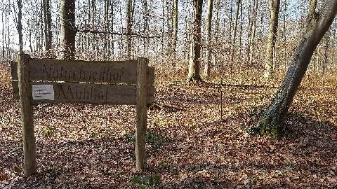 Mühltal Naturfriedhof Februar 2018 014