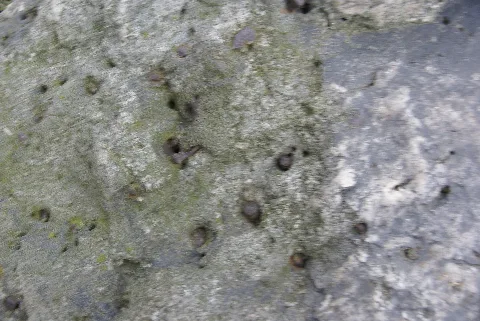 Nägel Stein Krimpe2