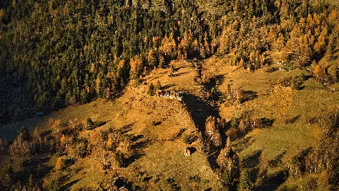 Ganterbach