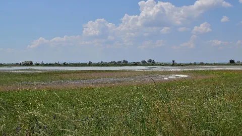 Nationalpark Neusiedler See Seewinkel 29 Obere Höllacke