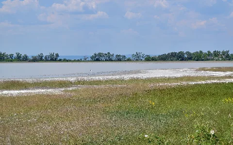 Nationalpark Neusiedler See Seewinkel 47 Oberer Stinkersee