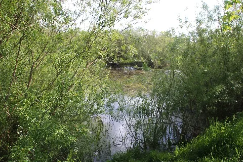 Natural Monument Brinksoot (10)