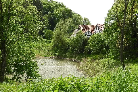 Naturdenkmal Denser See