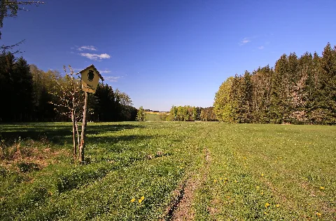 Naturdenkmal Schettler Wiese In Sachsen 2H1A3469Wi