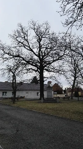 Naturdenkmal Schwarzheide Feb2017 1