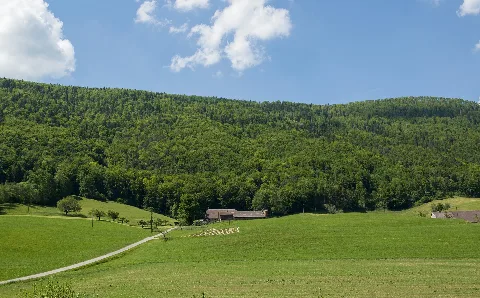 Naturpark Thal Cassinam 111