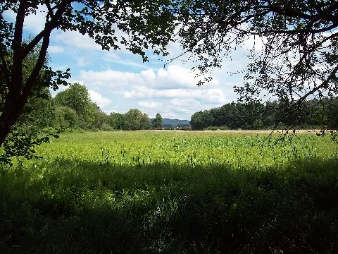 Naturschutzgebiet Affelderchen Und Rettichbruch Von Klein Welzheim