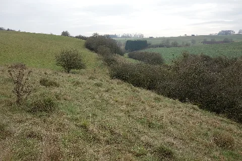 Naturschutzgebiet Dahlsberg