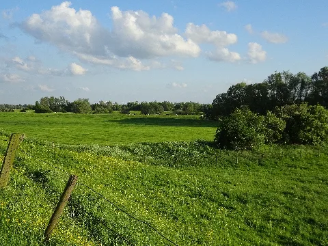 Naturschutzgebiet Dornicksche Ward Pm18 06