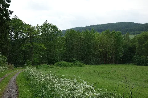 Naturschutzgebiet Erlenwald Südlich Frenkhausen
