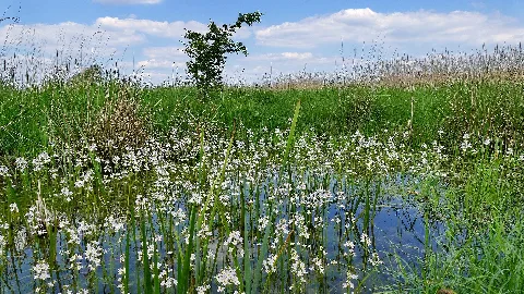 Naturschutzgebiet Hahnenkamp 02