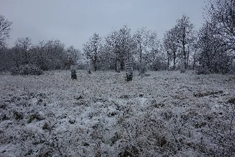 Naturschutzgebiet Hölzchen