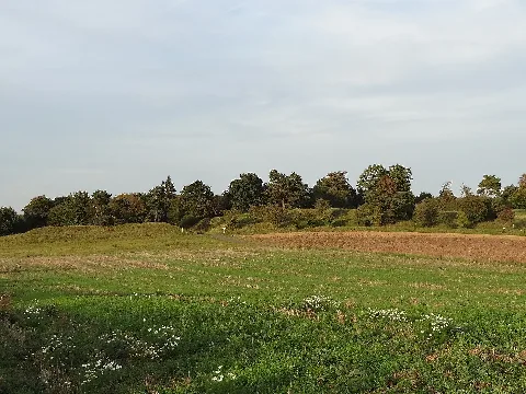 Naturschutzgebiet Hoher Stein Bei Fernwald 08