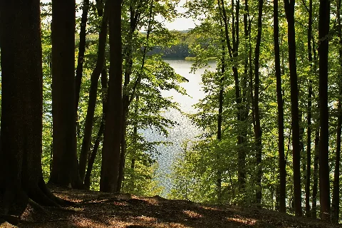 Naturschutzgebiet Hullerbusch Und Schmaler Luzin Zansenblick (2)