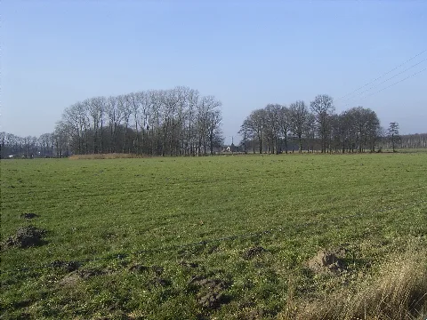 Naturschutzgebiet Im Binner0001