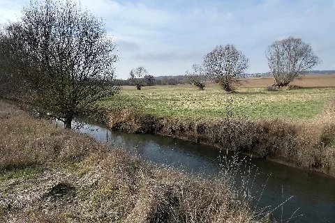Das Bild zeigt den östlichen Punkt, an dem der Fluß Selz in das Naturschutzgebiet IN DER AU - (Landkreis Mainz-Bingen/ Stadt Nieder-Olm) hinein fließt. Die Fließrichtung der Selz in dem Bild ist von rechts nach links. Hinten rechts im Bild ist schemenhaft der Ort Essenheim zu sehen.