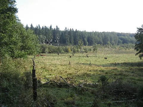 Naturschutzgebiet In Der Strei