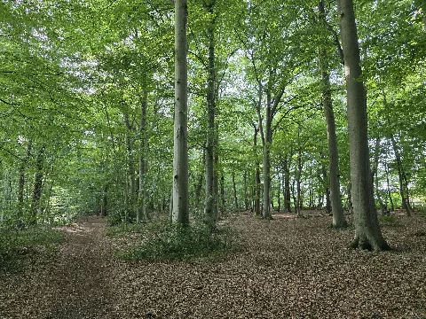 Naturschutzgebiet Klinten