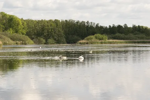 Naturschutzgebiet "Oberer Herrenteich" 2