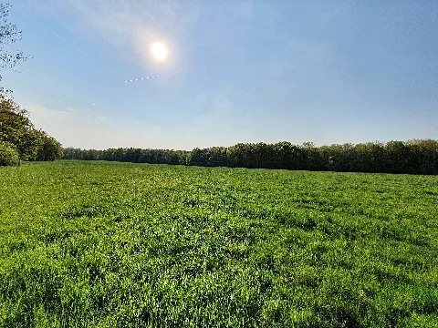 Naturschutzgebiet Polenzwald Südliche Waldwiese