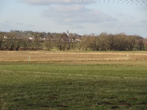 Naturschutzgebiet Salzwiesen Von Münzenberg 04