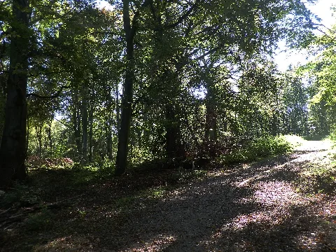 Naturschutzgebiet Tippelsberg Berger Mühle (Oktober 2014)