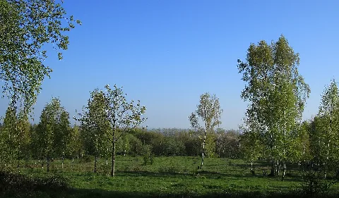 Naturschutzgebiet "Um Den Eibsee" Bei Der Euba (Chemnitz)...2H1A8500Wi