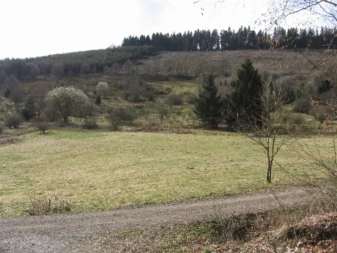 Naturschutzgebiet Vordere Winterseite