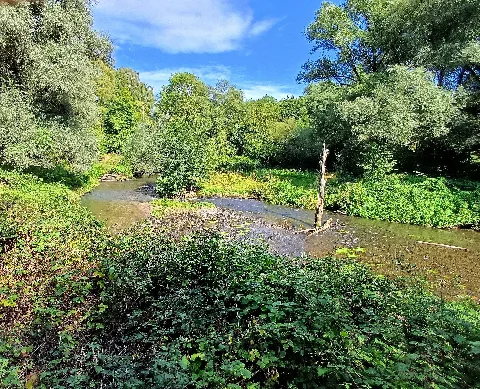 Naturschutzgebiet Wurmtal Nördlich Herzogenrath (10)