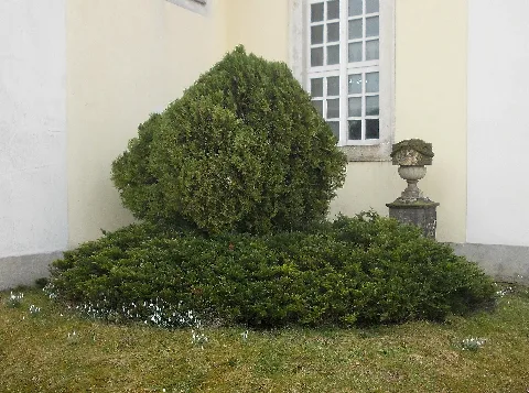 Naundorfo Kirche2