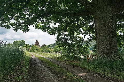 Am Waldrand
