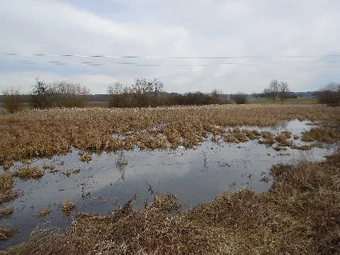 Nd Vorderer See