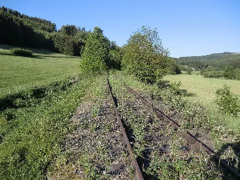 Nebenbahn Finnentrop Wenholthausen (5777944640)