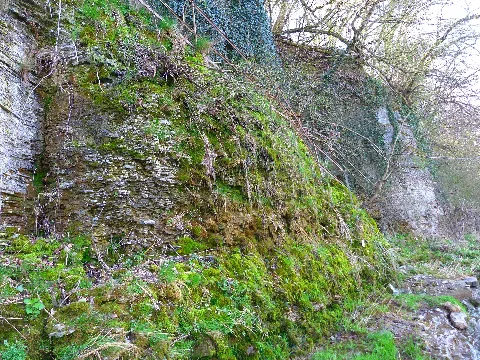 Neckarhochufer, Notburga Höhle