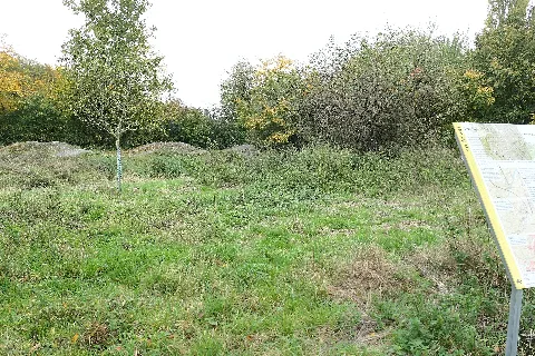 Westlich der A 381 bei den Sportanlagen im Südwesten von Stuttgart-Vaihingen, Gewanne Honigwiesen und Lauchäcker. Im einstigen Quellbereich des Nesenbach ist dieser aus Gründen von Wasser- und Abwasserwirtschaft bereits seit längerere Zeit unterirdisch kanalisiert. Bis 2015 wurde dort stattdessen in Erinnerung an den Nesenbach ein naturnah gestalteter Grünzug mit Versickerungskanal angelegt um das Oberflächenwasser zu sammeln und abzuführen. Im Hintergrund eine Pumptrack-Bahn beim Sportforum Vaihingen West