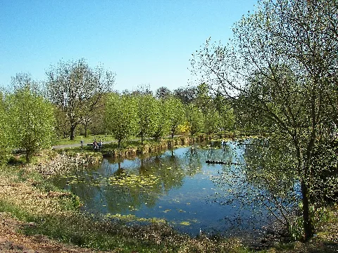 Neuer Botanischer Garten Teich 002