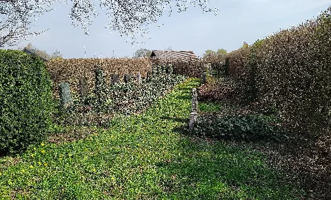 Neuer Jüdischer Friedhof Barsinghausen 2