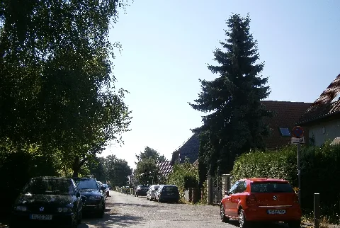 Neukölln Rudow Am Rudower Waldrand P8250034 (47)